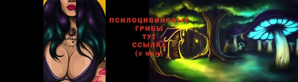 ешки Волоколамск